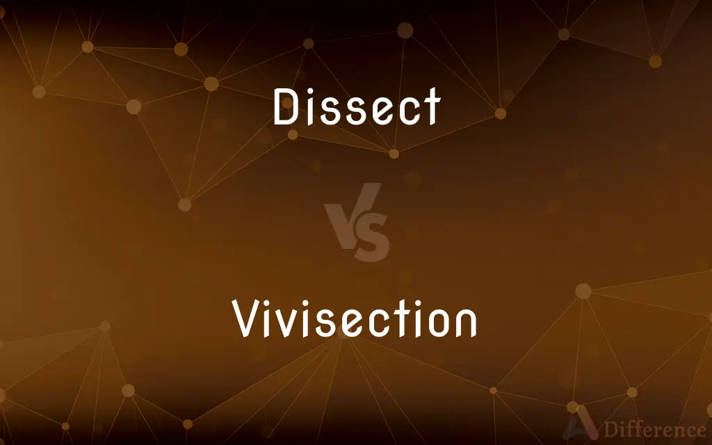 Dissect vs. Vivisection — What's the Difference?