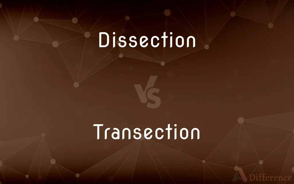 Dissection vs. Transection — What's the Difference?