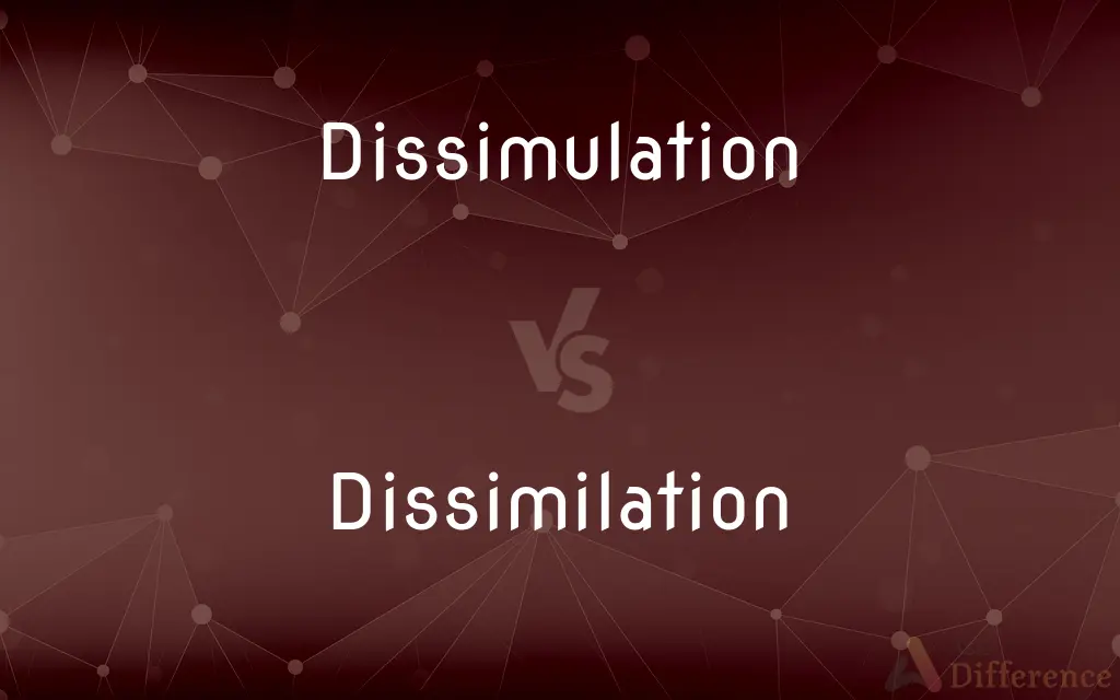 Dissimulation vs. Dissimilation — What's the Difference?