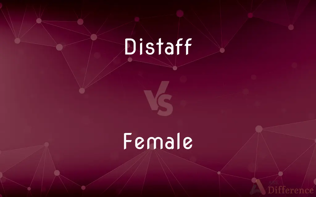 Distaff vs. Female — What's the Difference?