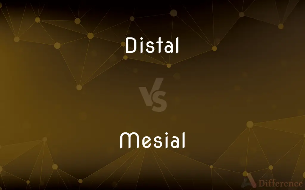 Distal vs. Mesial — What's the Difference?