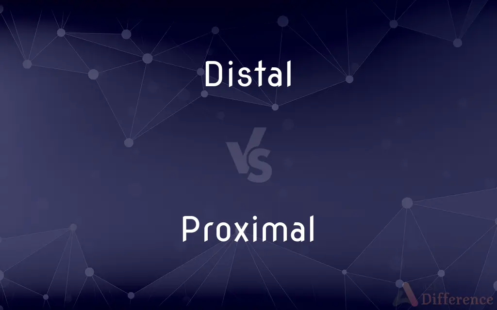 Distal vs. Proximal — What's the Difference?