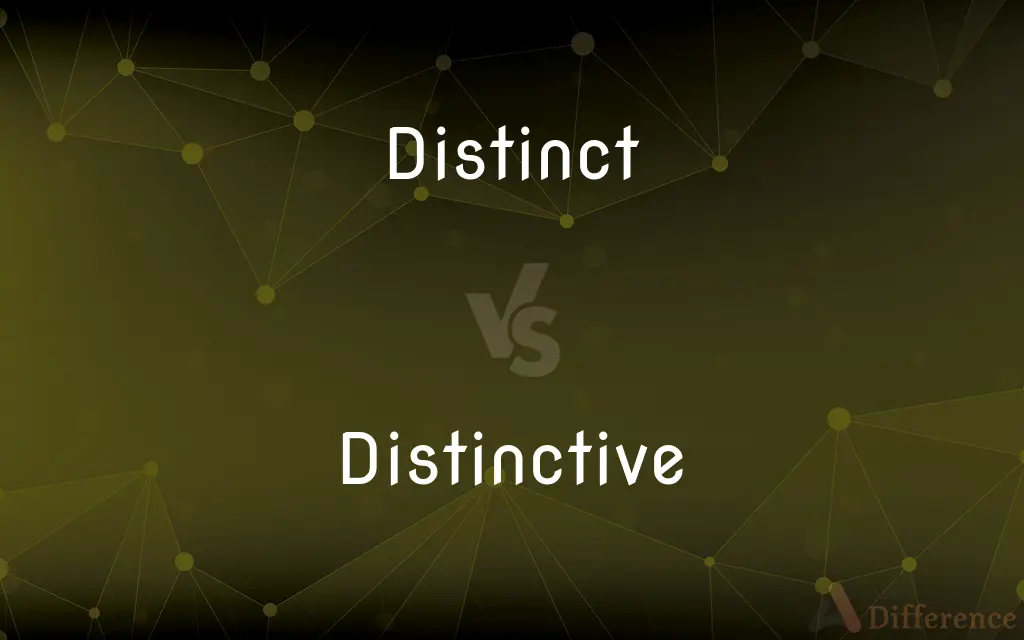 Distinct vs. Distinctive — What's the Difference?