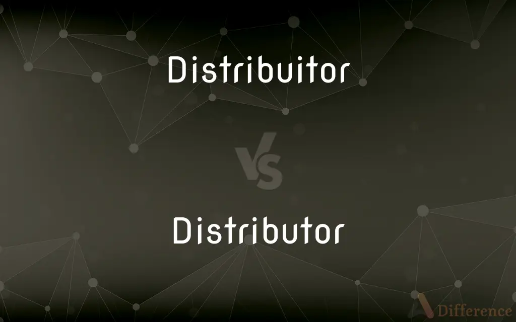 Distribuitor vs. Distributor — Which is Correct Spelling?