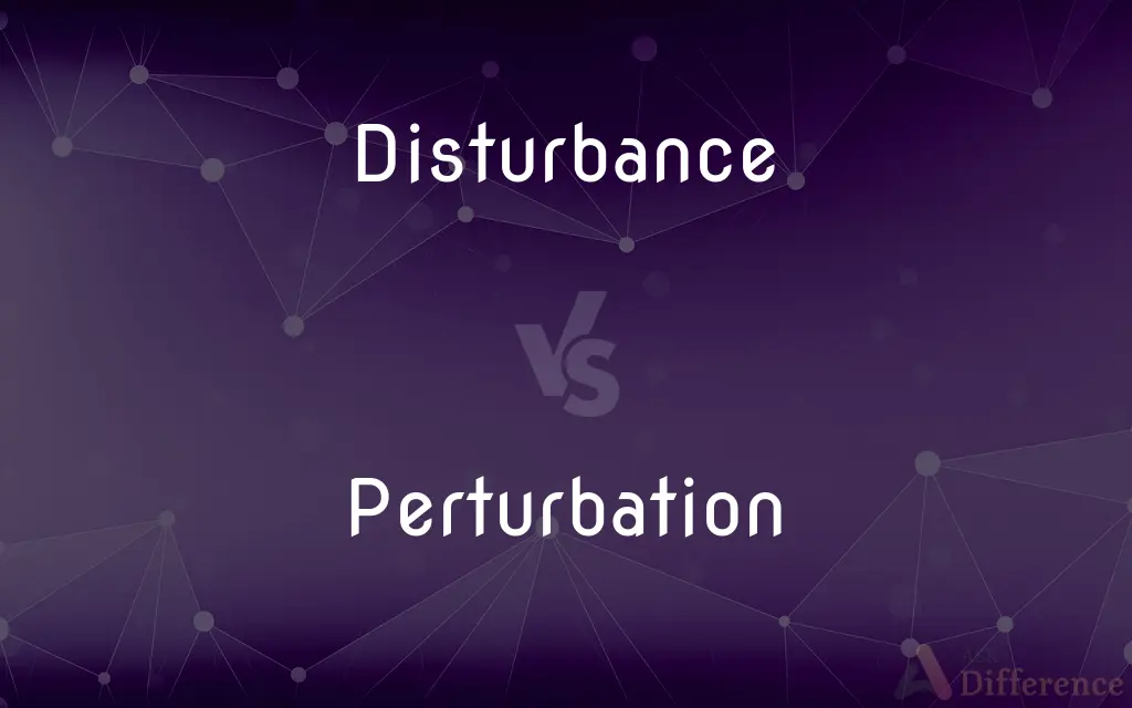 Disturbance vs. Perturbation — What's the Difference?