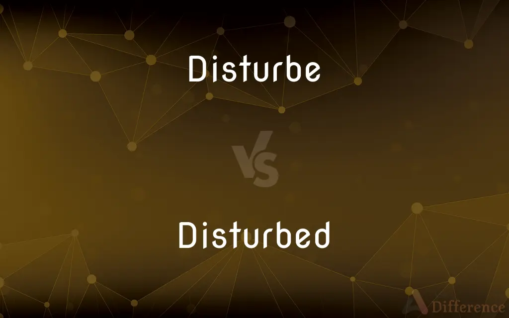 Disturbe vs. Disturbed — Which is Correct Spelling?
