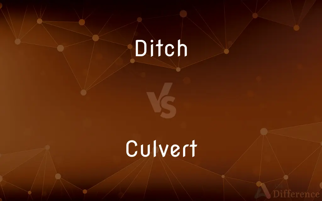Ditch vs. Culvert — What's the Difference?
