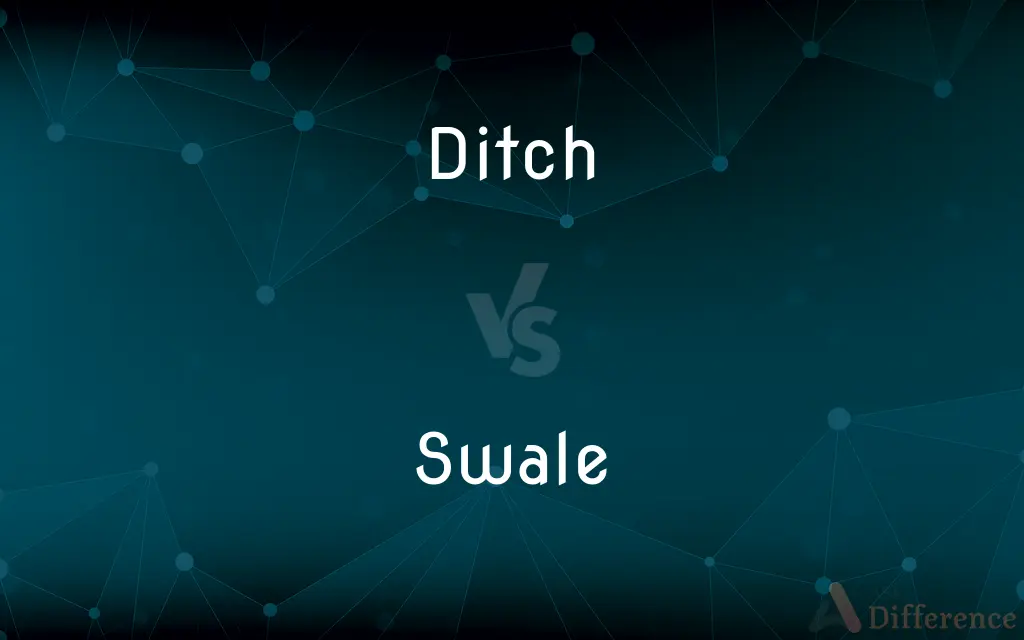 Ditch vs. Swale — What's the Difference?