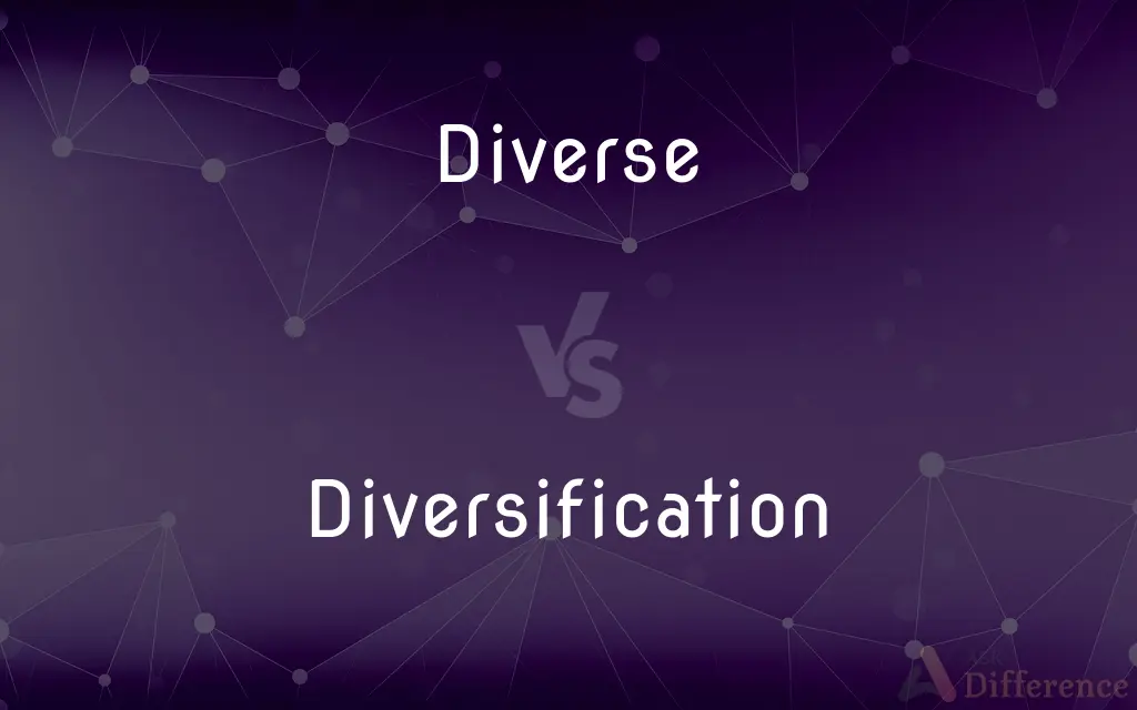 Diverse vs. Diversification — What's the Difference?