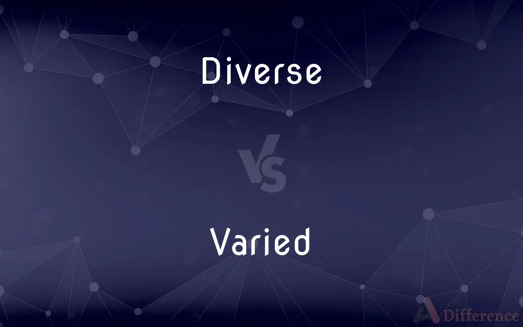 Diverse vs. Varied — What's the Difference?
