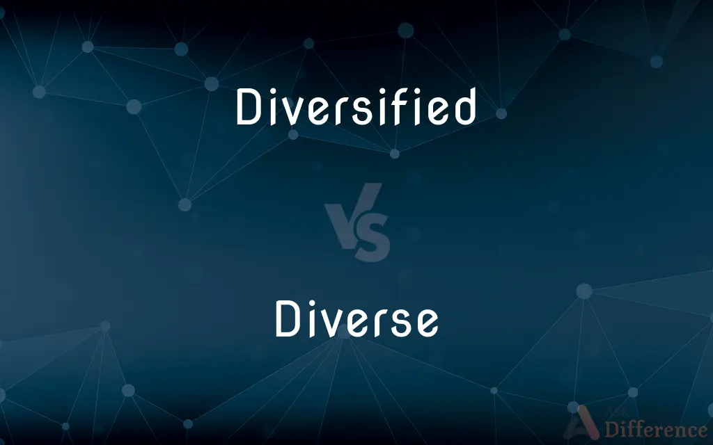 Diversified vs. Diverse — What's the Difference?