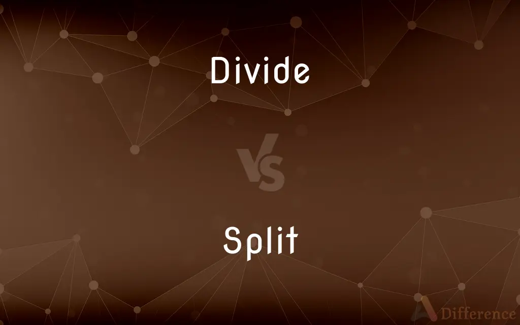 Divide vs. Split — What's the Difference?