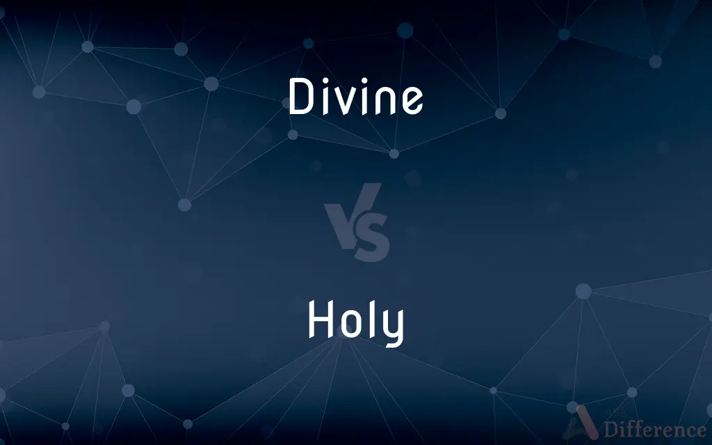 Divine vs. Holy — What's the Difference?