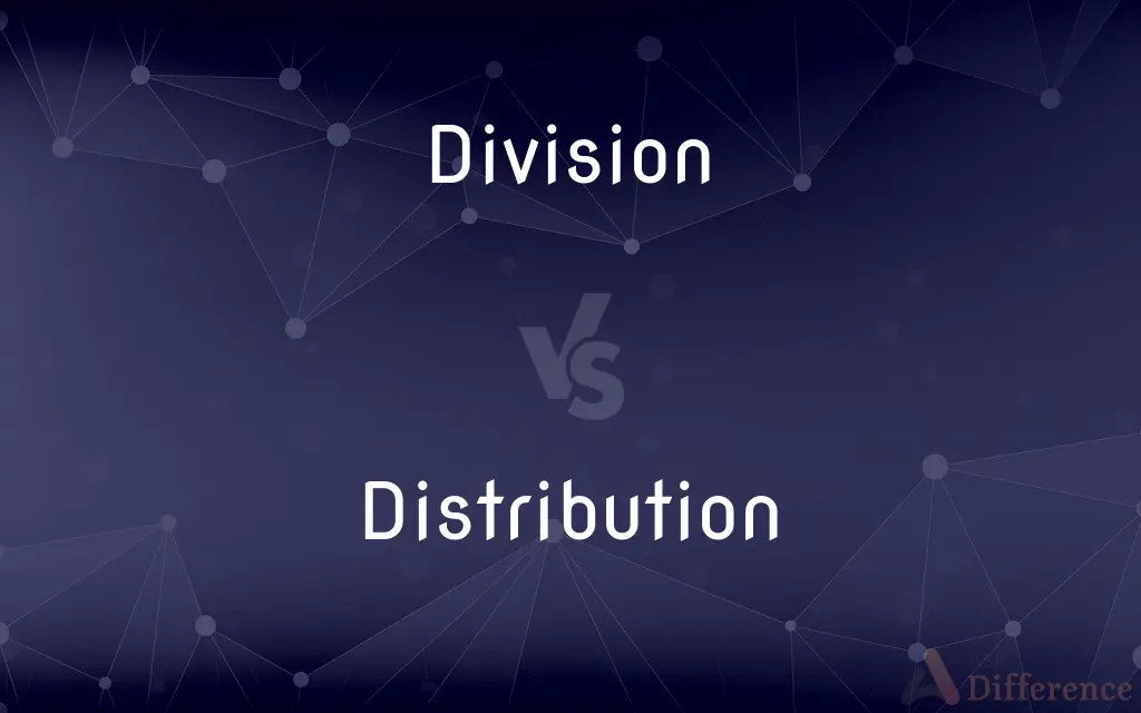 Division vs. Distribution — What's the Difference?
