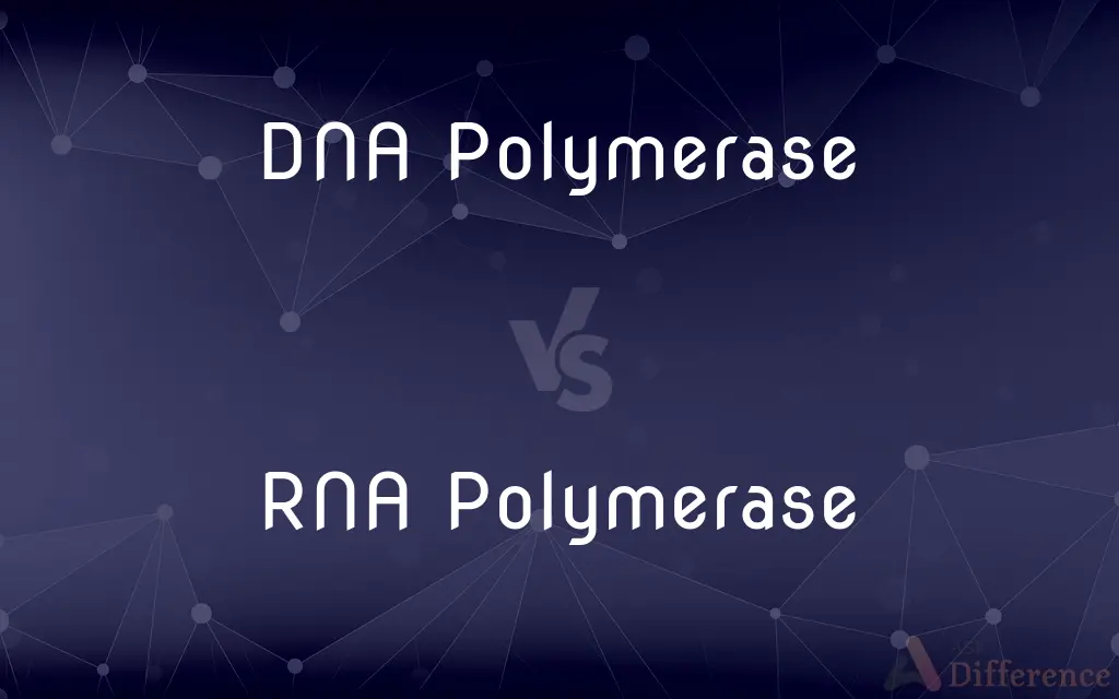 DNA Polymerase vs. RNA Polymerase — What's the Difference?