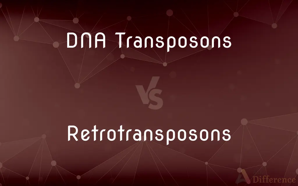 DNA Transposons vs. Retrotransposons — What's the Difference?