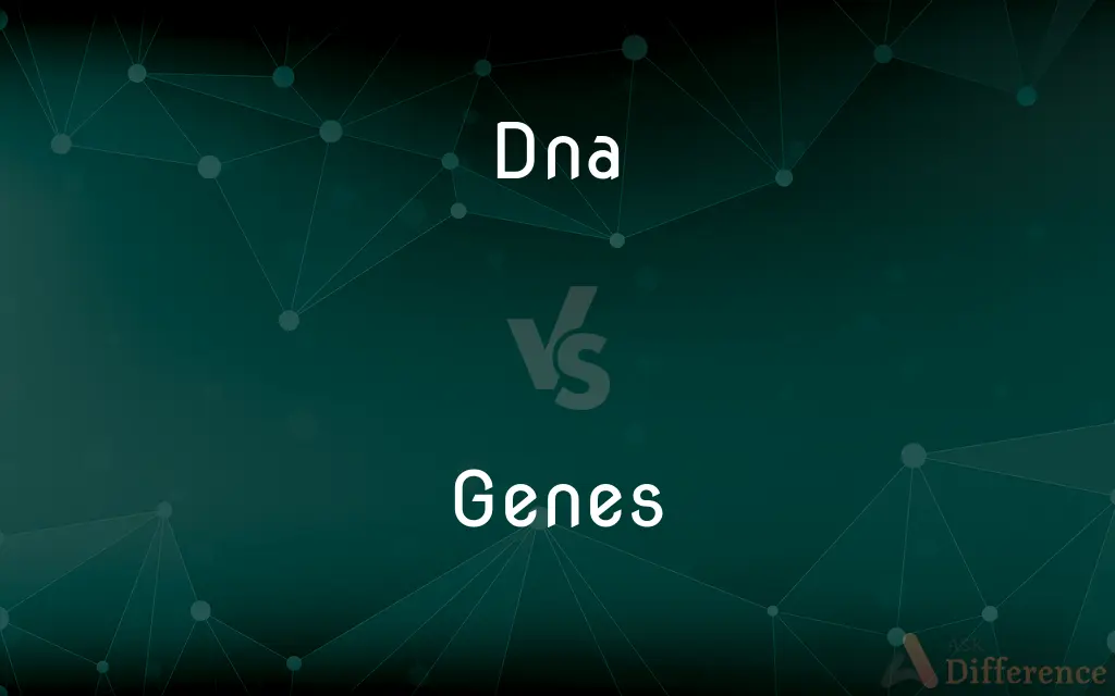 DNA vs. Genes — What's the Difference?