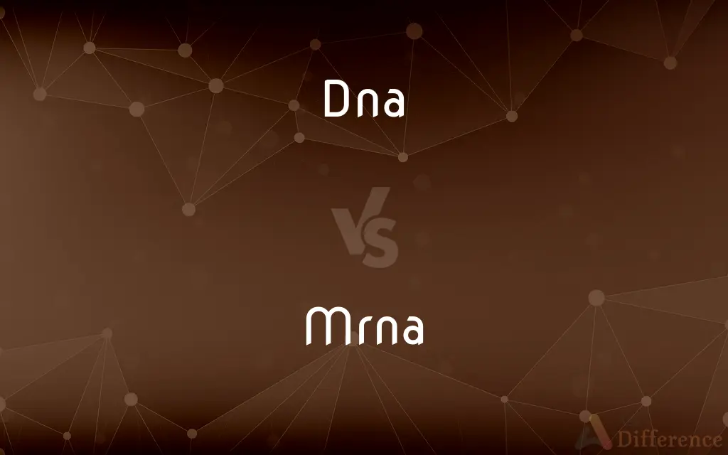 Dna vs. Mrna — What's the Difference?