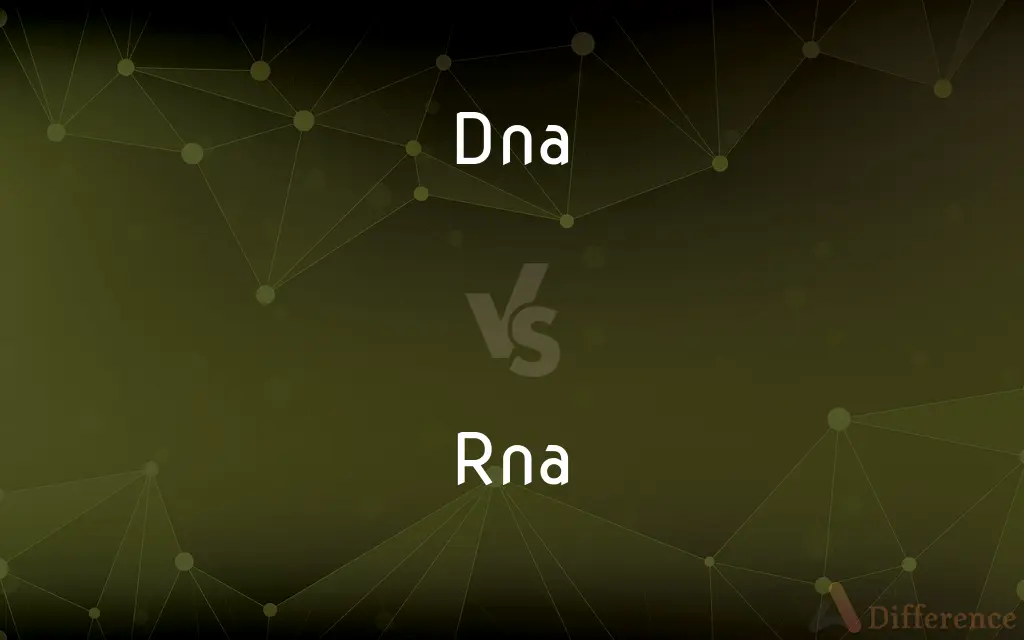 DNA vs. RNA — What's the Difference?
