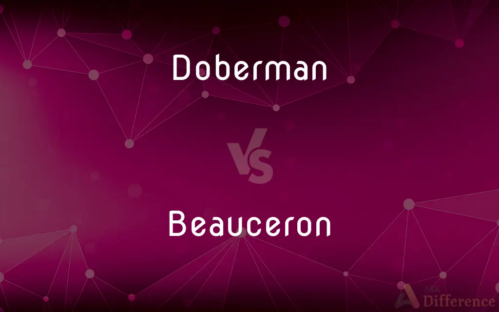 Doberman vs. Beauceron — What's the Difference?