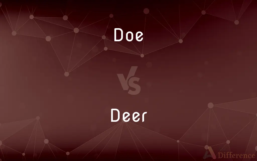 Doe vs. Deer — What's the Difference?