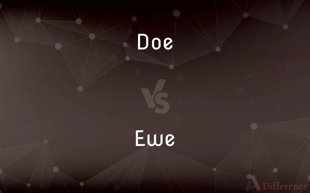 Doe vs. Ewe — What's the Difference?