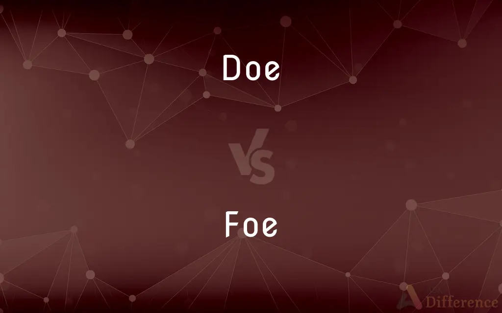 Doe vs. Foe — What's the Difference?