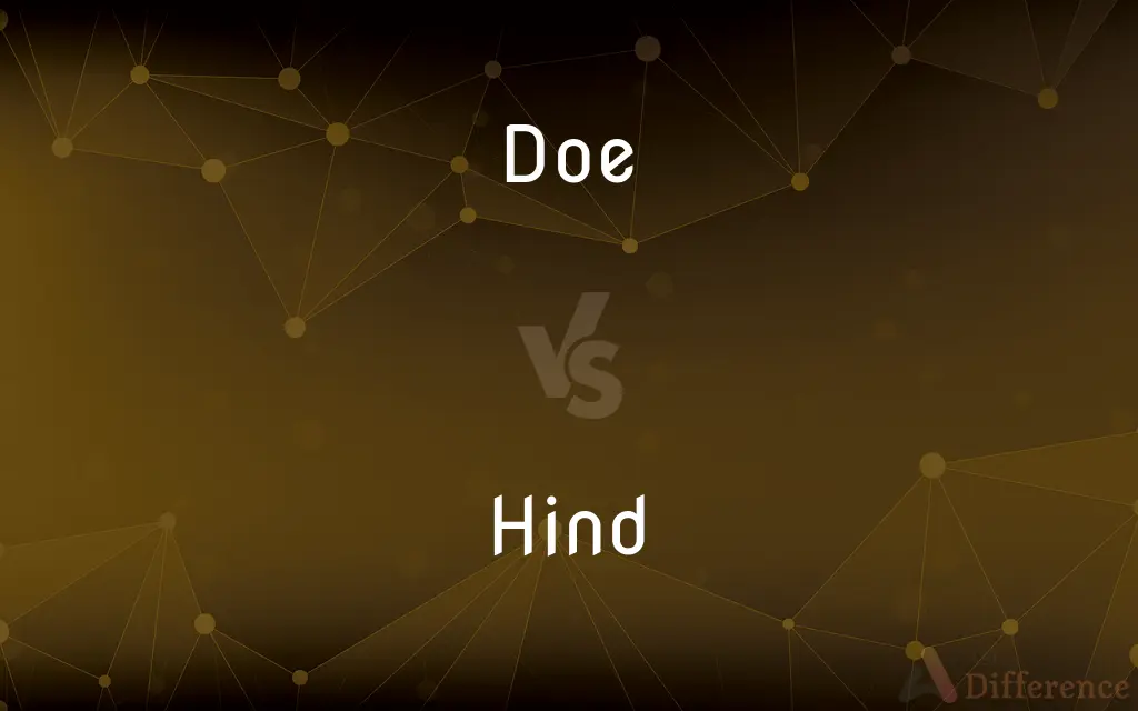 Doe vs. Hind — What's the Difference?