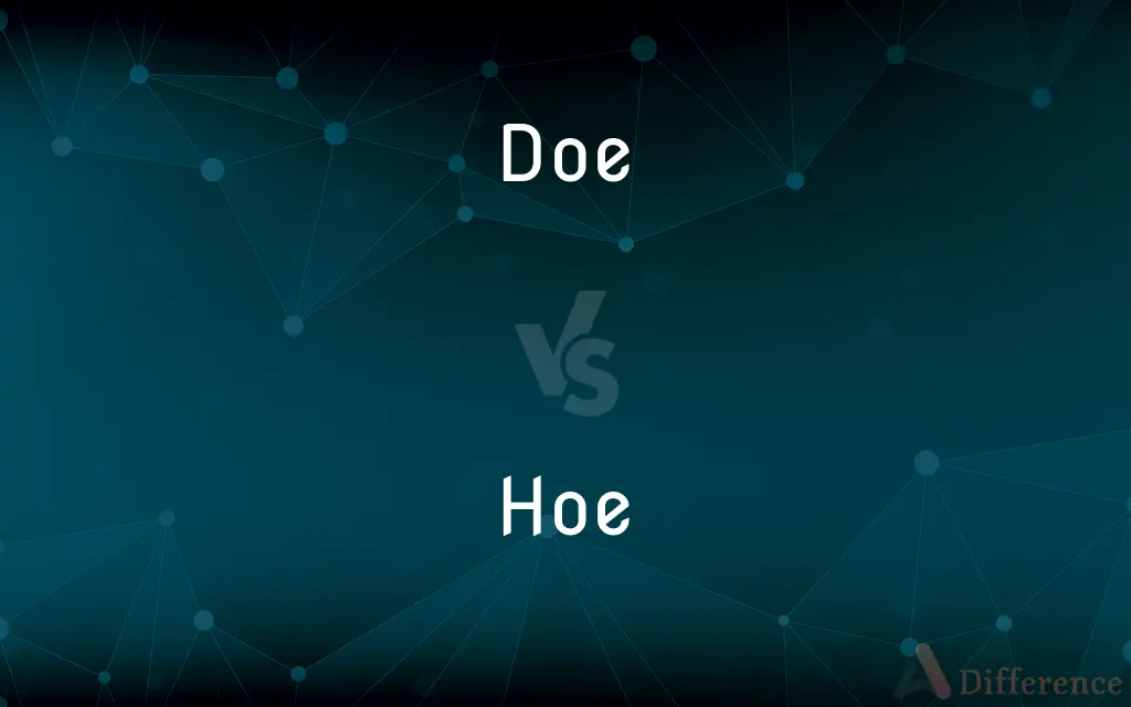Doe vs. Hoe — What's the Difference?