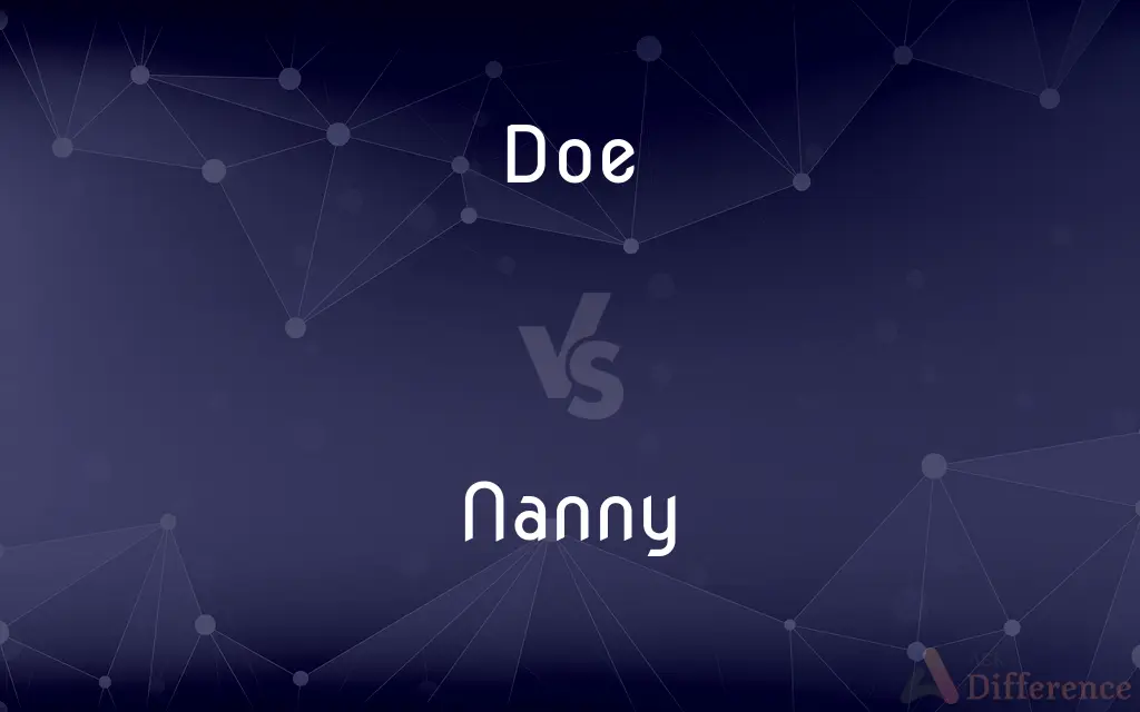 Doe vs. Nanny — What's the Difference?