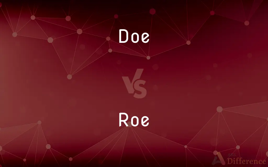 Doe vs. Roe — What's the Difference?