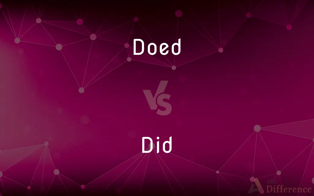 Doed vs. Did — Which is Correct Spelling?