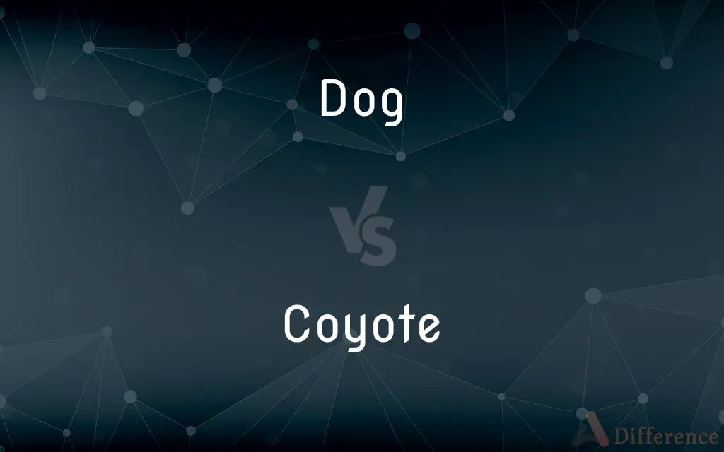 Dog vs. Coyote — What's the Difference?