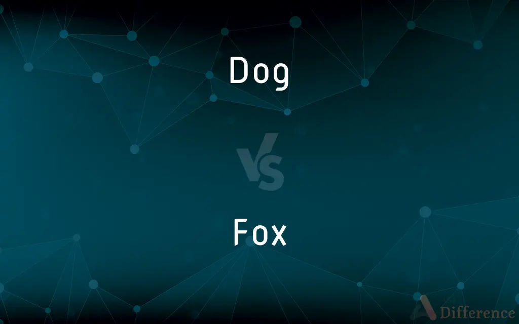 Dog vs. Fox — What's the Difference?