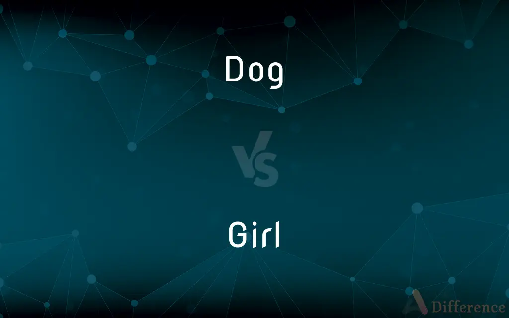 Dog vs. Girl — What's the Difference?