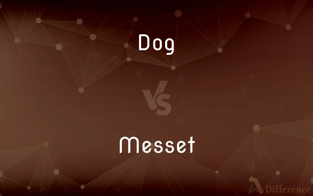 Dog vs. Messet