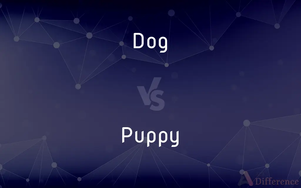 Dog vs. Puppy — What's the Difference?