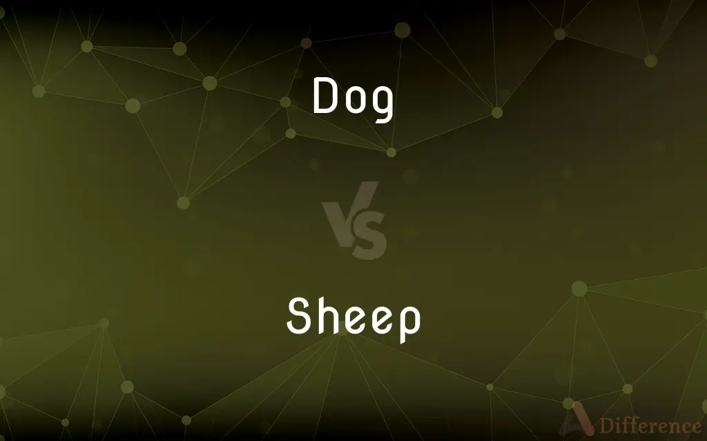 Dog vs. Sheep