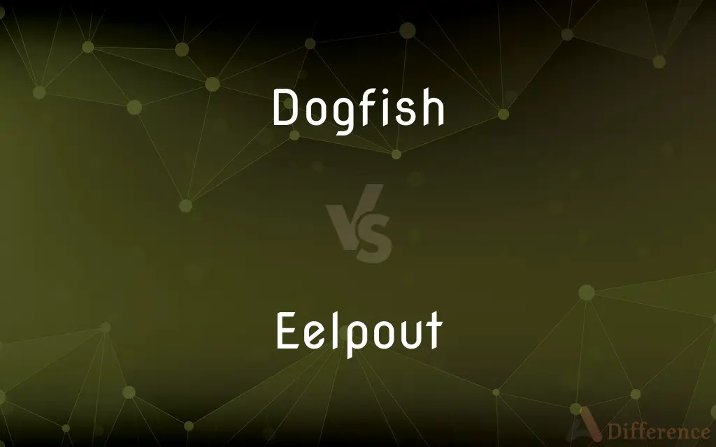 Dogfish vs. Eelpout — What's the Difference?