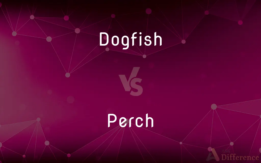 Dogfish vs. Perch — What's the Difference?