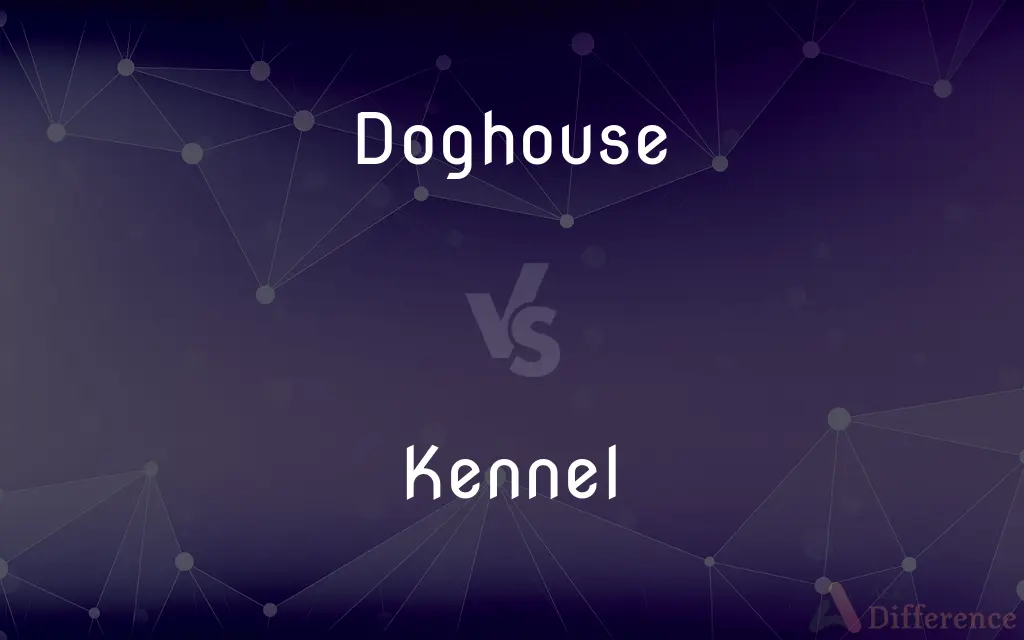 Doghouse vs. Kennel — What's the Difference?