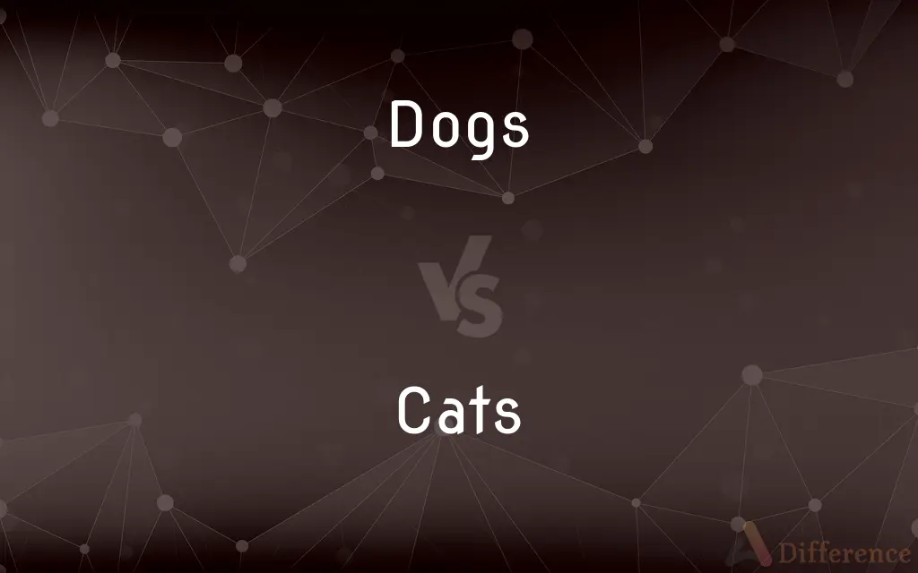 Dogs vs. Cats — What's the Difference?