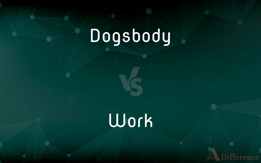 Dogsbody vs. Work — What's the Difference?