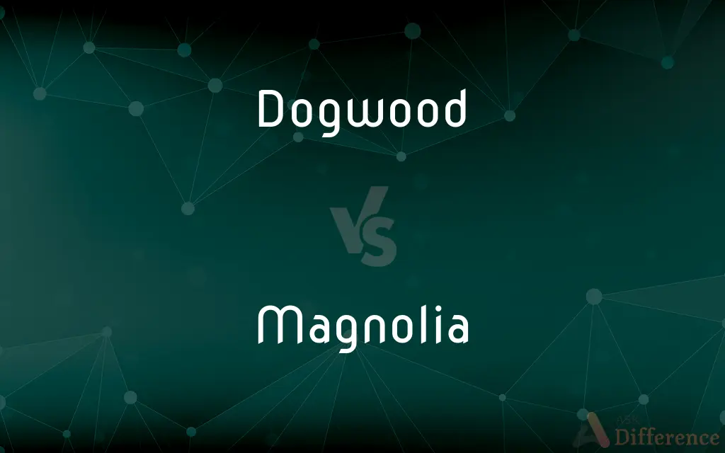 Dogwood vs. Magnolia — What's the Difference?