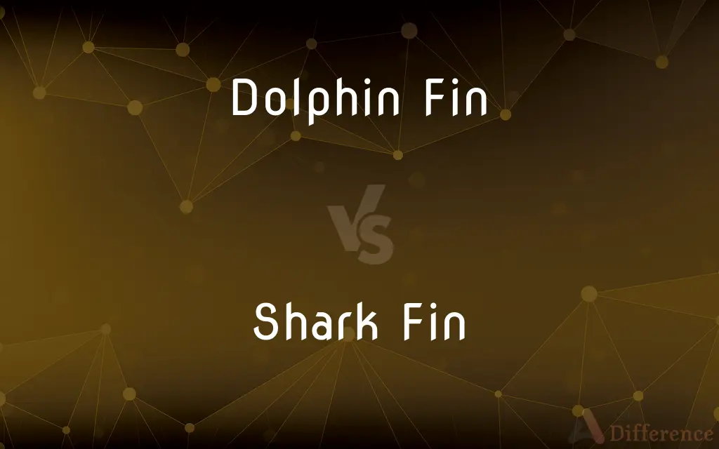 Dolphin Fin vs. Shark Fin — What's the Difference?