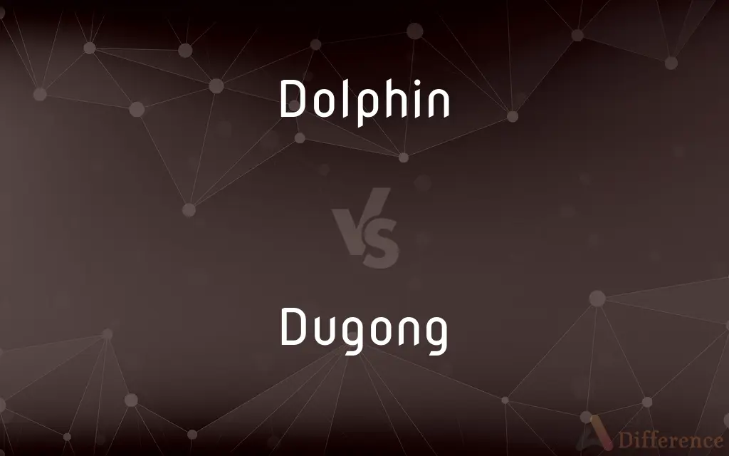 Dolphin vs. Dugong — What's the Difference?
