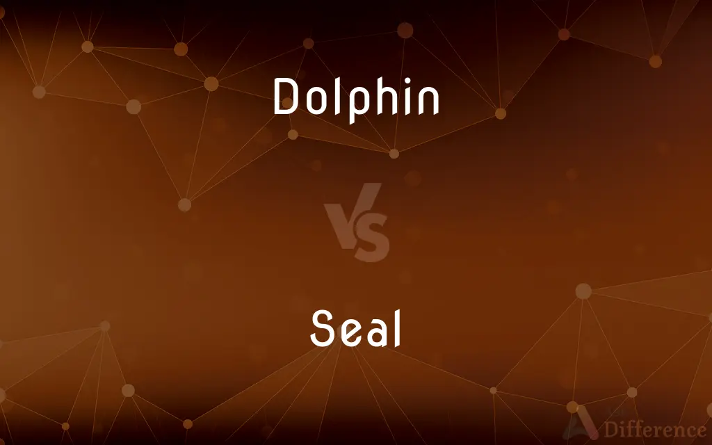 Dolphin vs. Seal — What's the Difference?