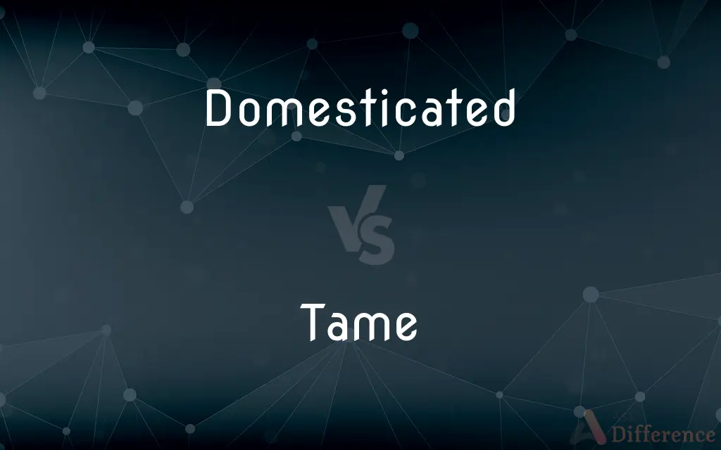 Domesticated vs. Tame — What's the Difference?