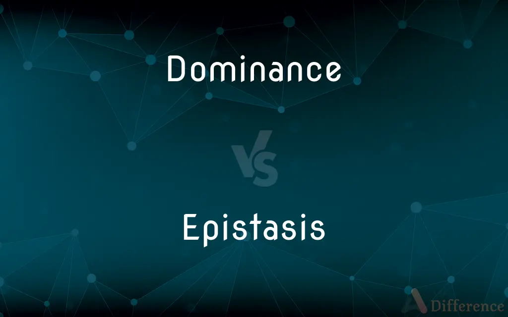 Dominance vs. Epistasis — What's the Difference?