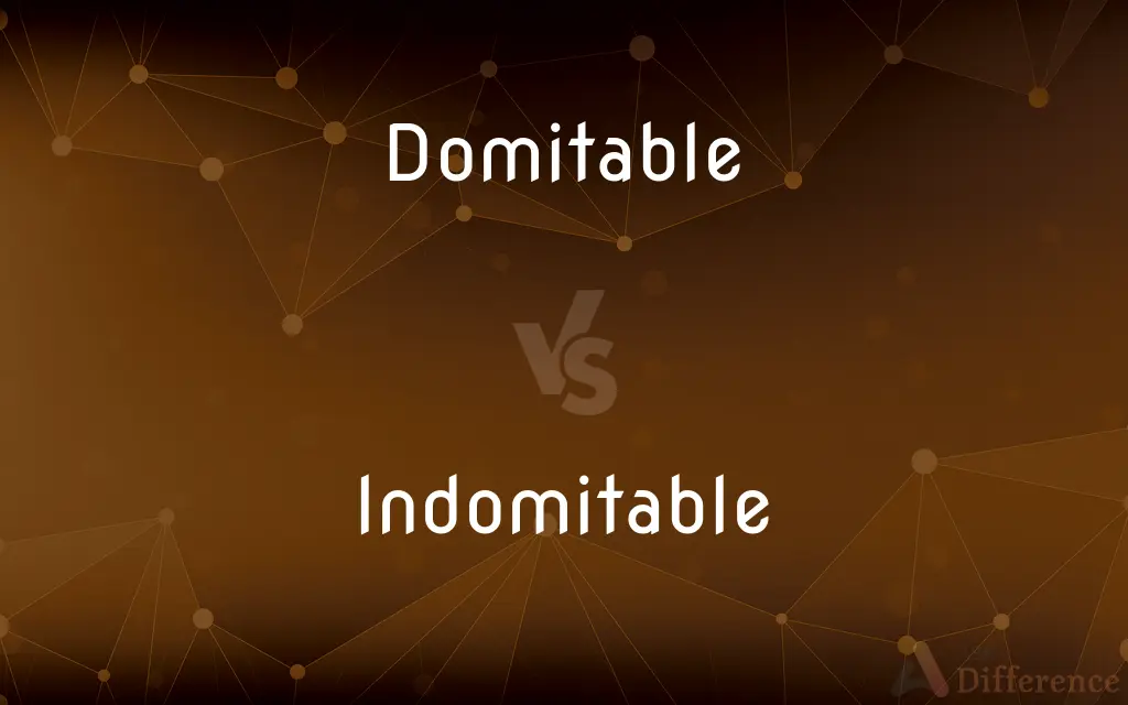 Domitable vs. Indomitable — What's the Difference?